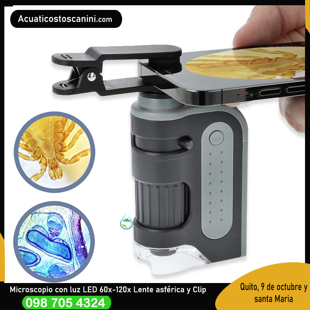 MICROSCOPIO DE BOLSILLO 60X-120X CON LUZ LED