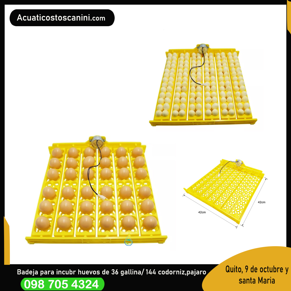 Bandeja De 36 Huevos A 110V Incubadoras Pollos Aves 